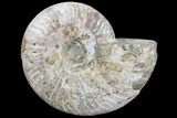 Silver Iridescent Ammonite - Madagascar #77111-1